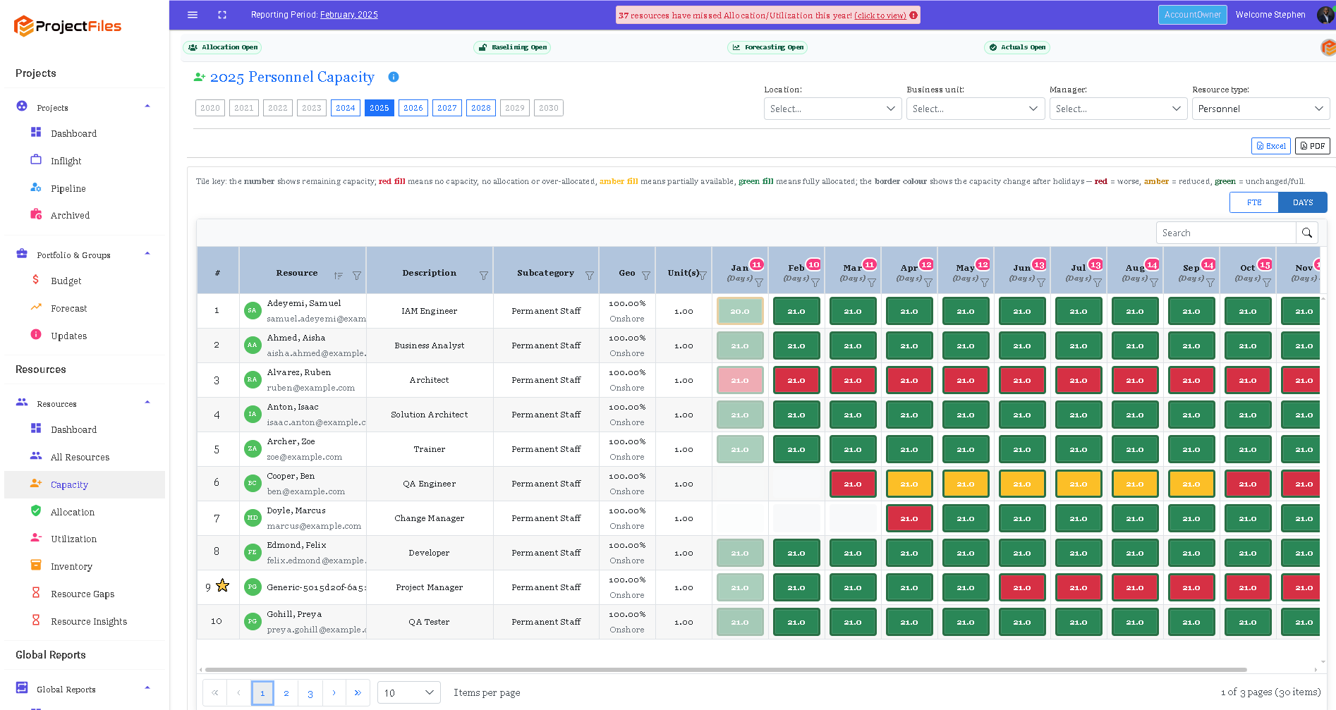 ProjectFiles capacity grid showing monthly personnel availability